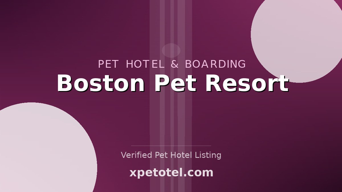 Boston Pet Resort pet hotel Boston
