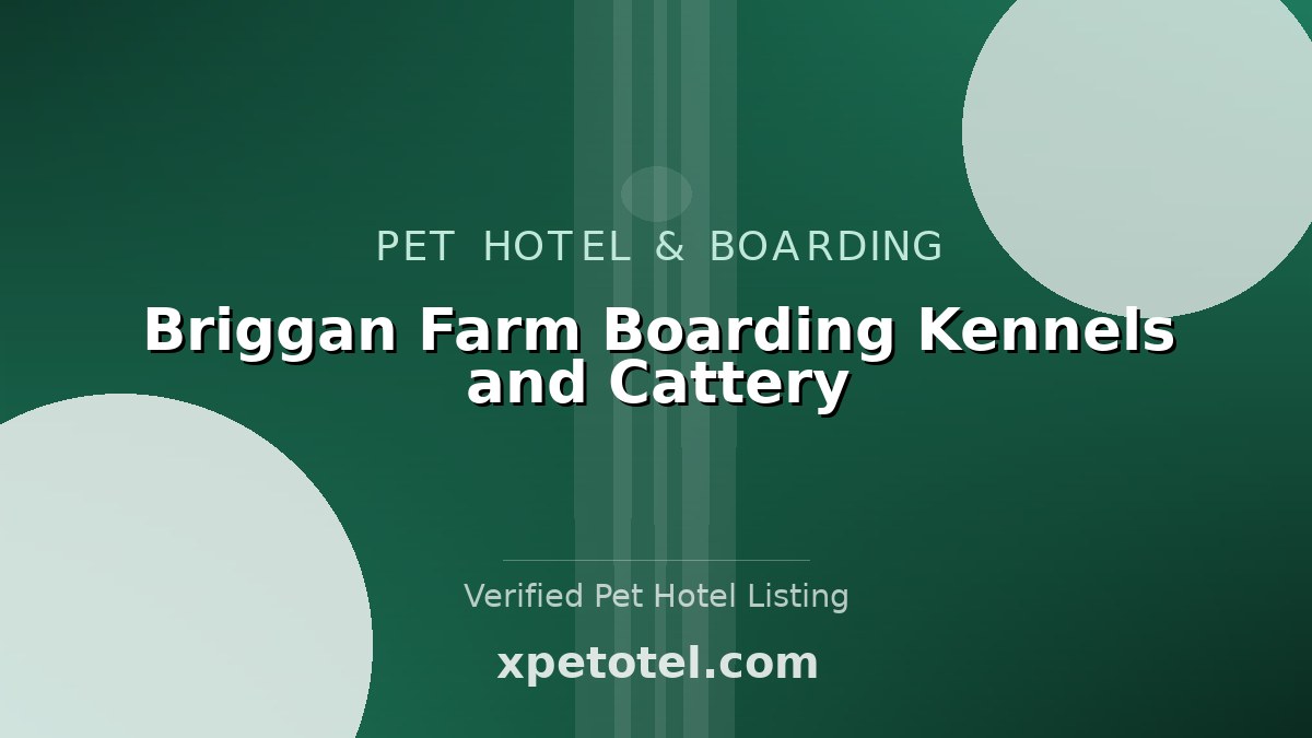 Briggan Farm Boarding Kennels and Cattery
