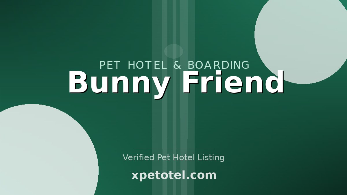 Bunny Friend