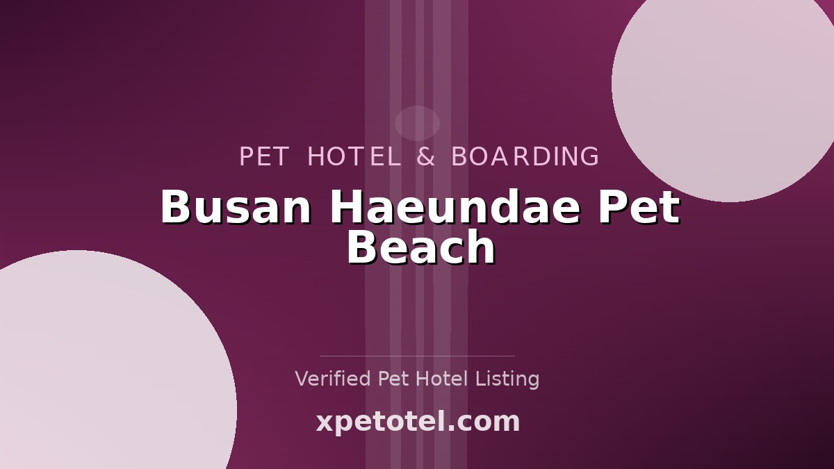 Busan Haeundae Pet Beach pet hotel Busan