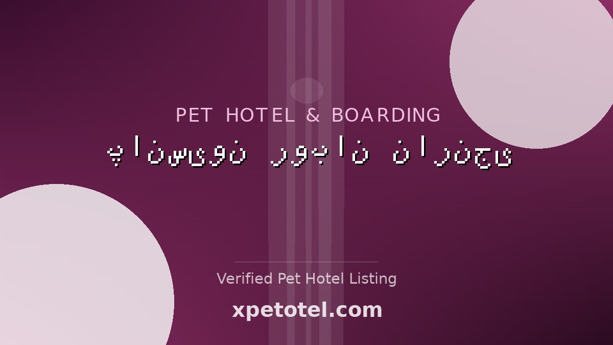 پانسیون روبان نارنجی pet hotel Iran