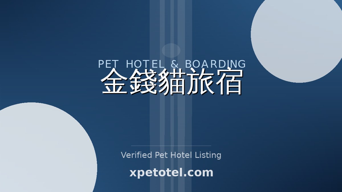 金錢貓旅宿 pet hotel 臺中市