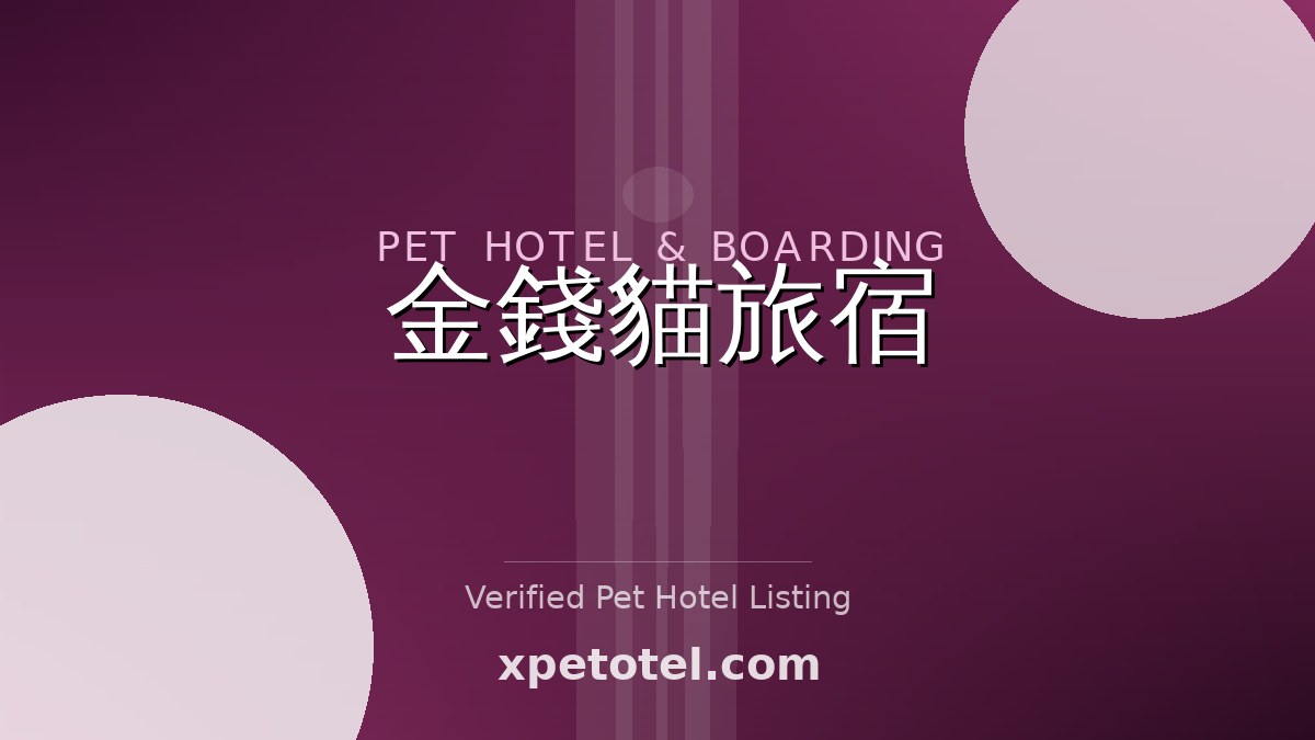 金錢貓旅宿 pet hotel 臺中市