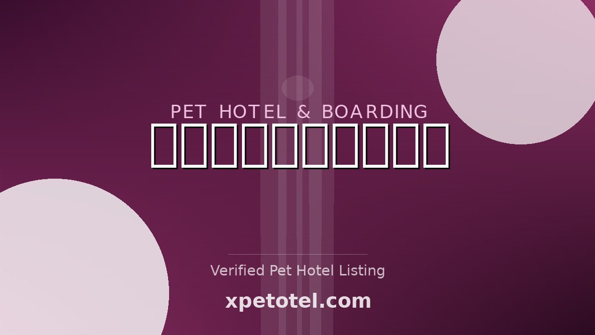 프리랑애견유치원호텔 pet hotel Seoul