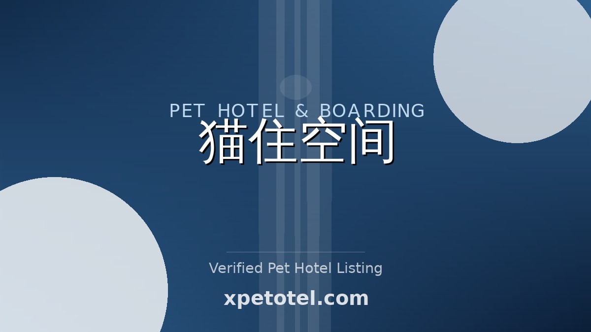 猫住空间 pet hotel 松江区