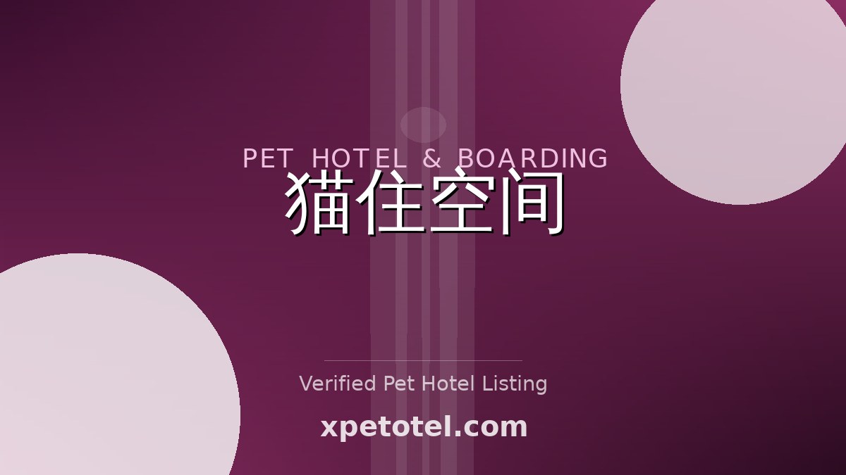 猫住空间 pet hotel 松江区