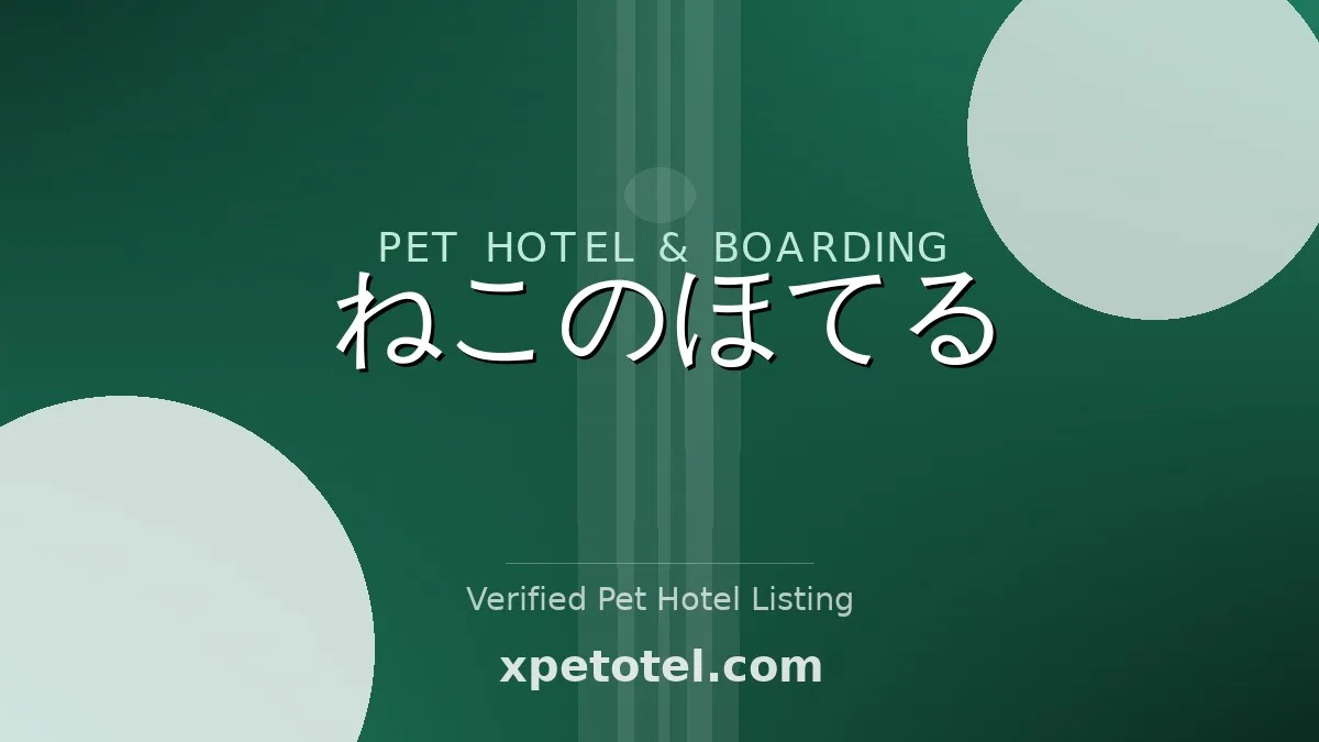 Neko no Hotel (Cat Hotel)