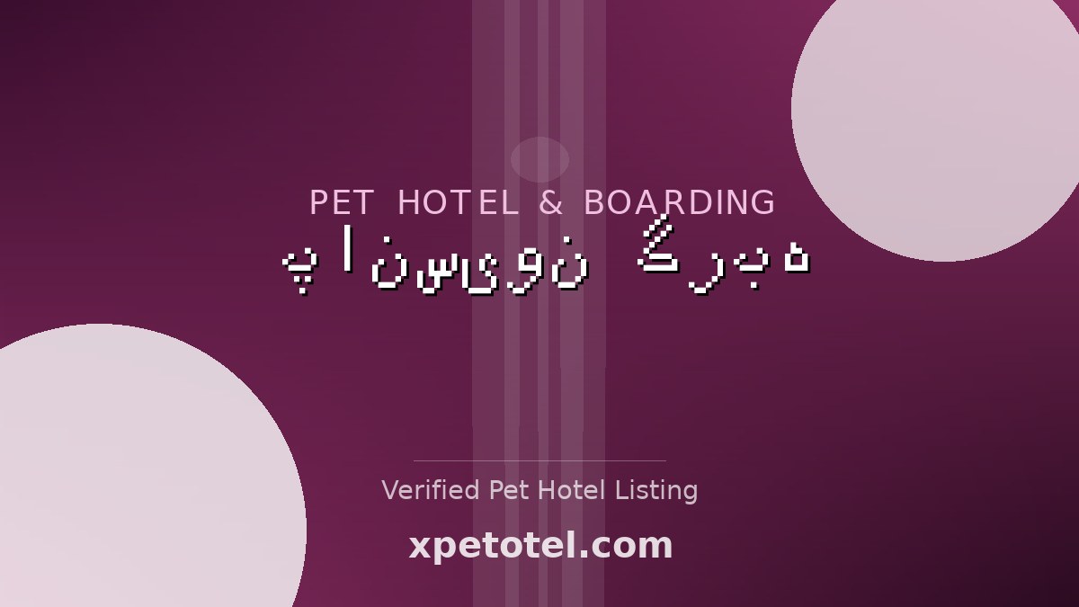 پانسیون گربه pet hotel تهران
