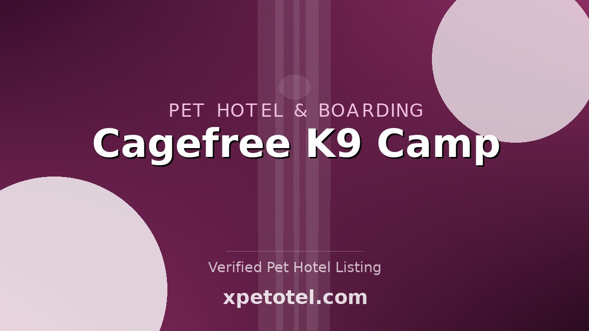 Cagefree K9 Camp pet hotel Playa Del Rey