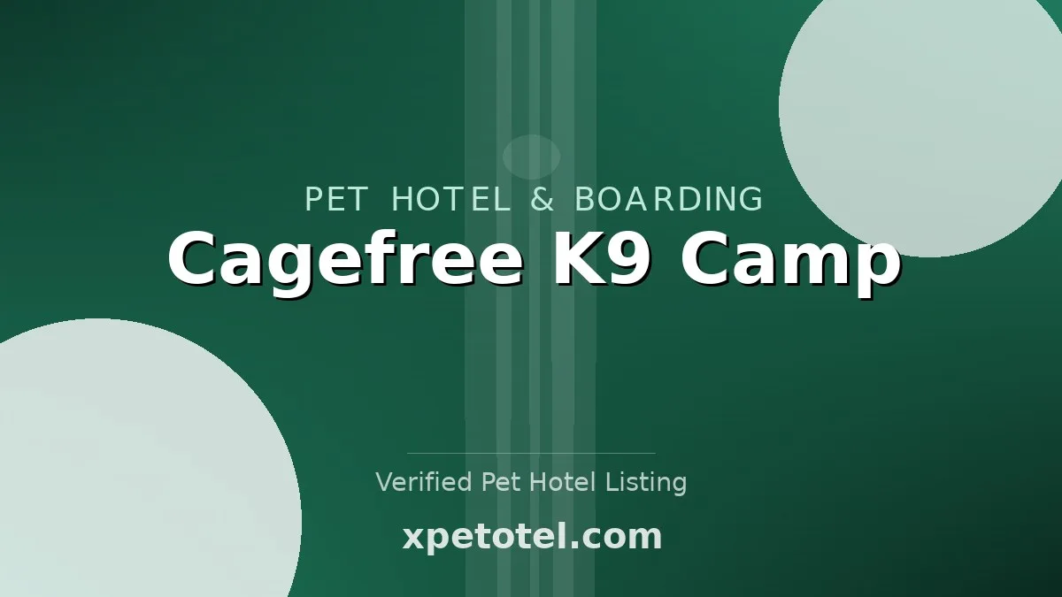 Cagefree K9 Camp