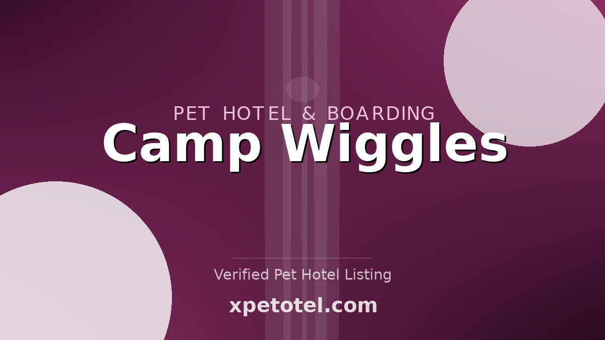 Camp Wiggles pet hotel Chicago
