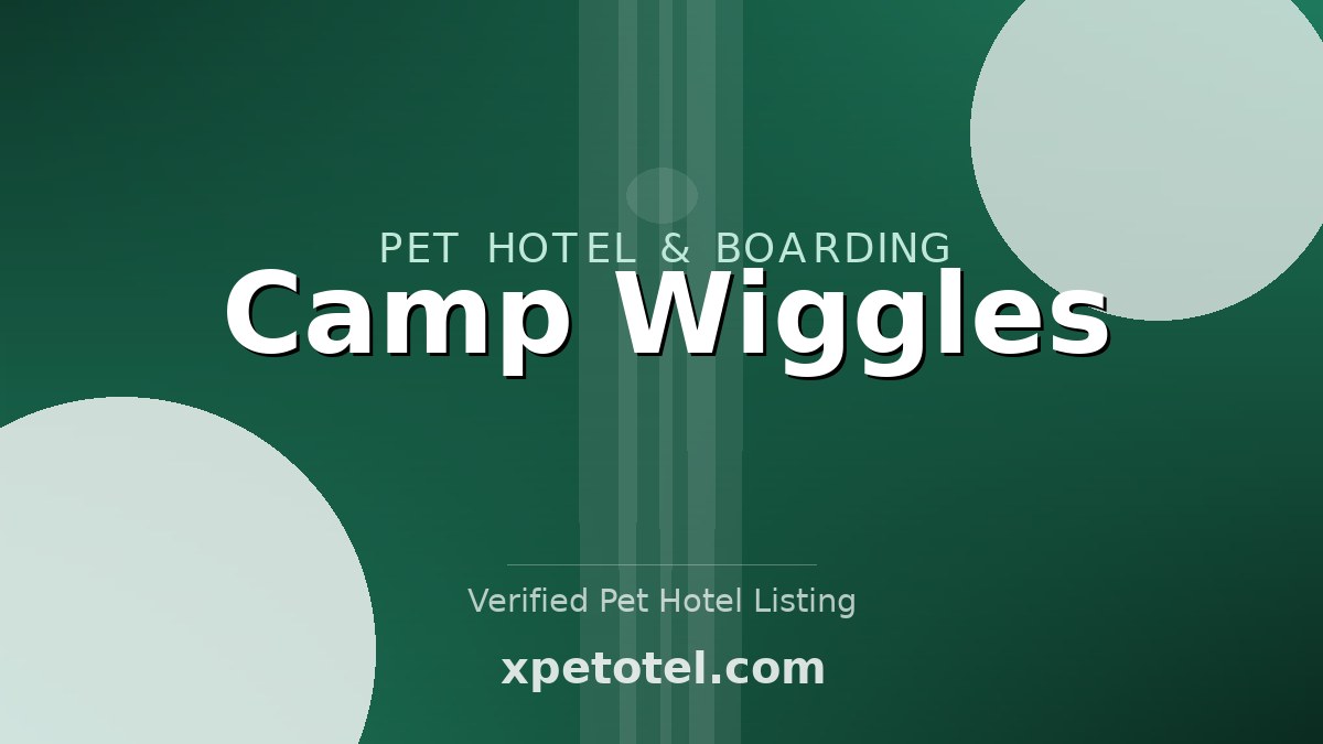 Camp Wiggles