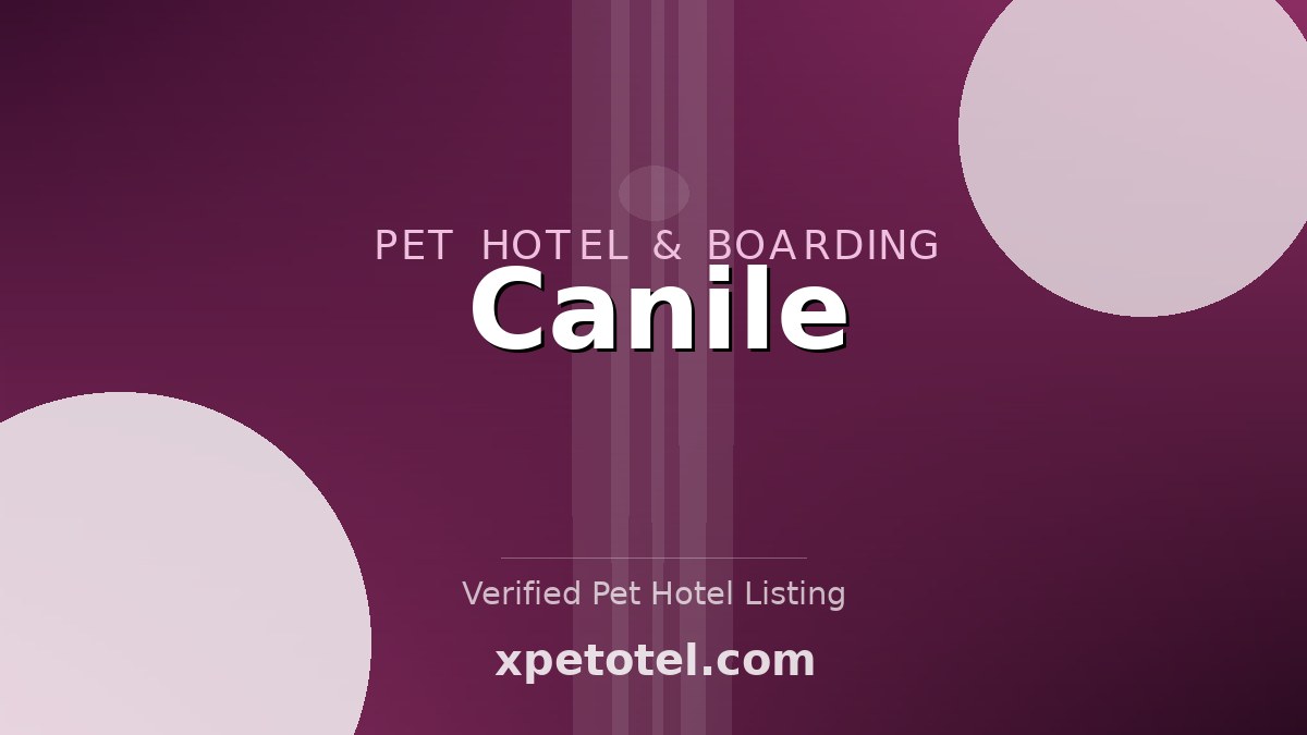 Canile pet hotel Italy