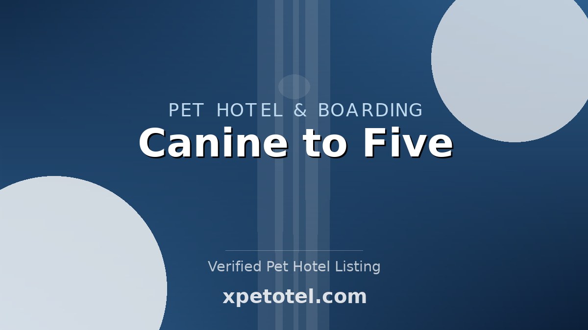 Canine to Five pet hotel Detroit