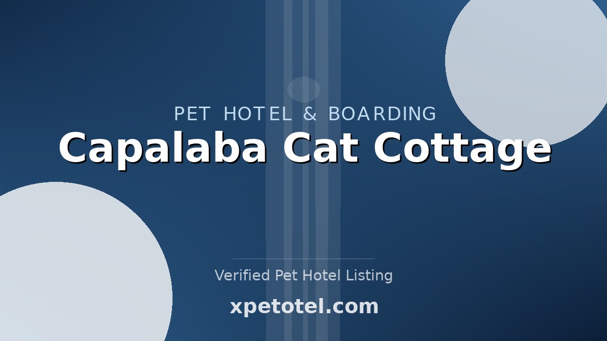 Capalaba Cat Cottage pet hotel Capalaba