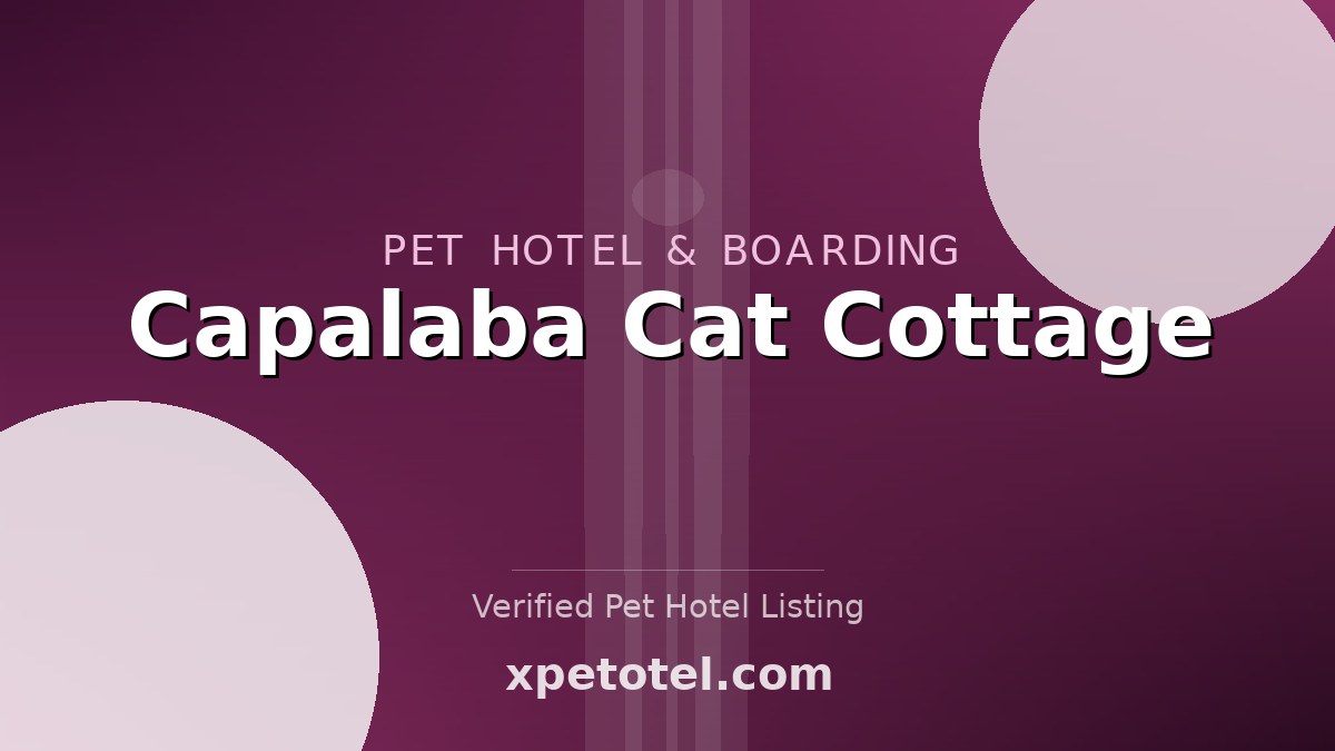 Capalaba Cat Cottage pet hotel Capalaba