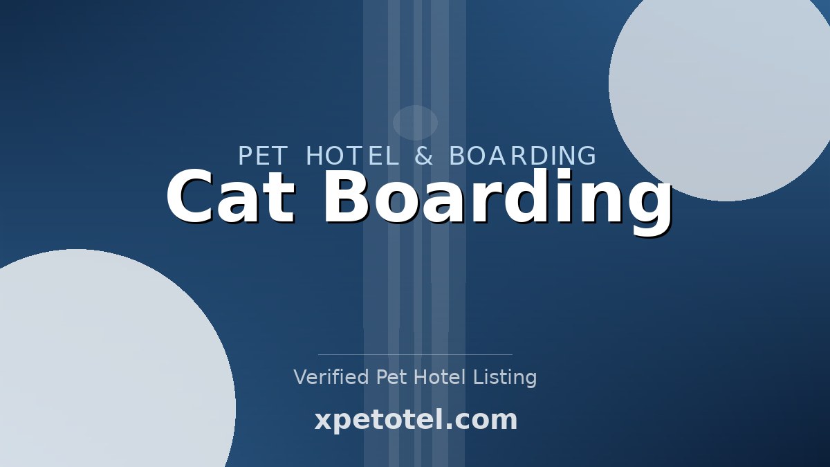 Cat Boarding pet hotel Malaysia