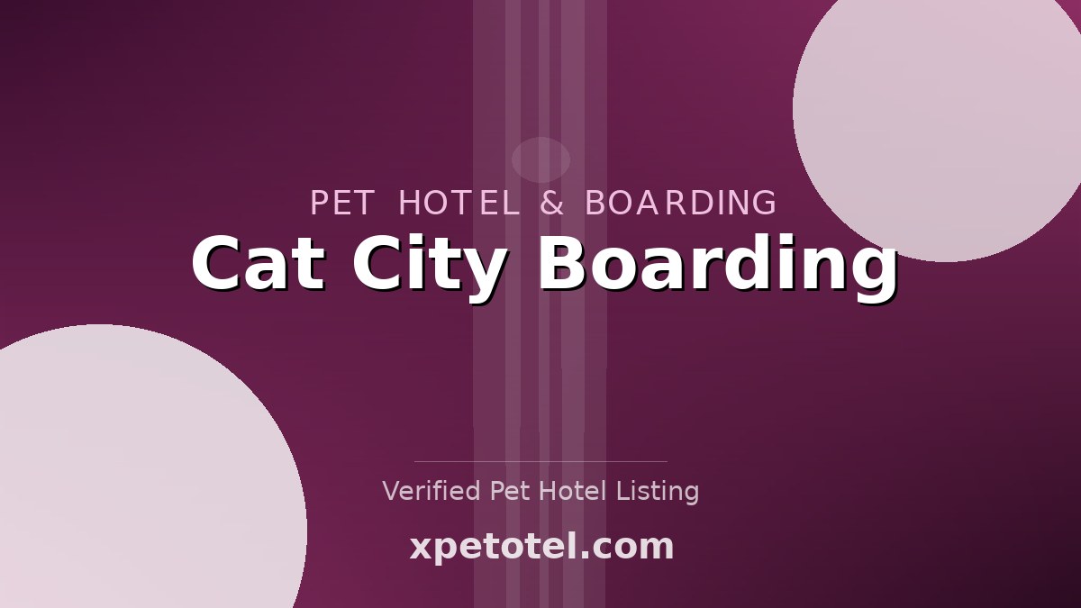 Cat City Boarding pet hotel Seattle