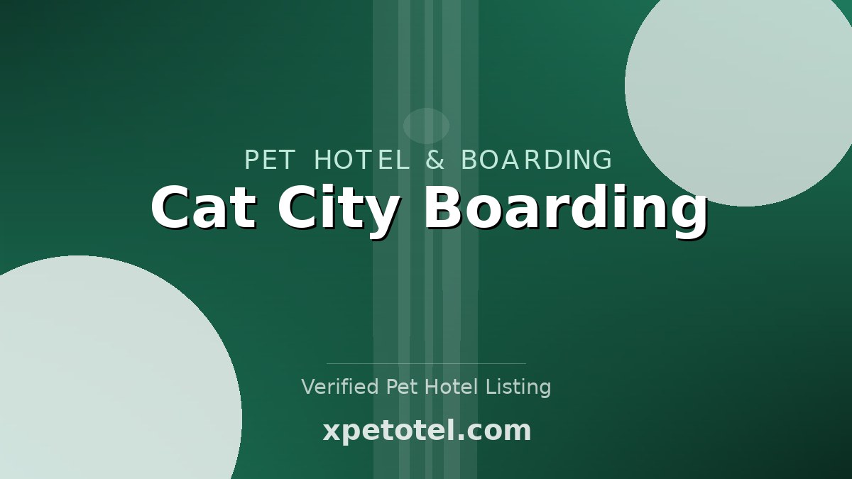 Cat City Boarding