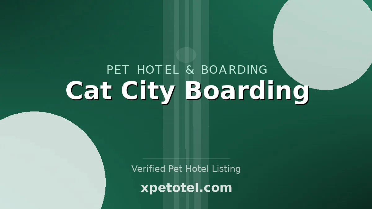 Cat City Boarding