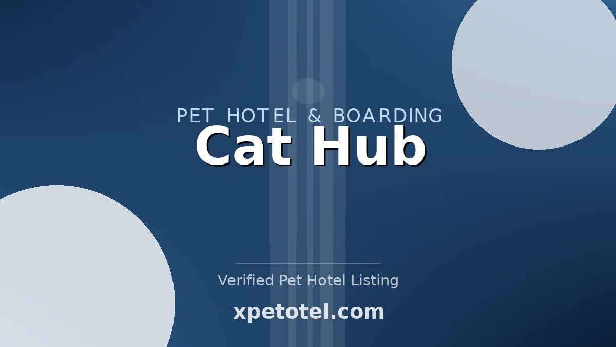 Cat Hub pet hotel Ukraine