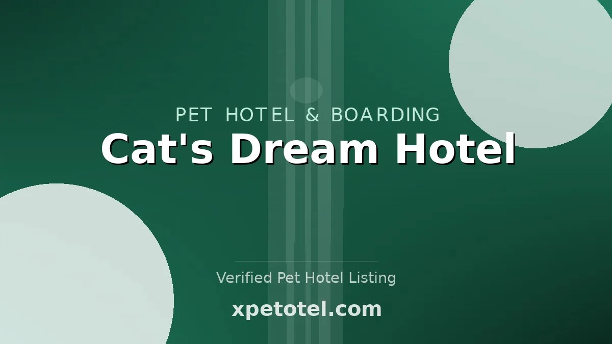 Cat's Dream Hotel