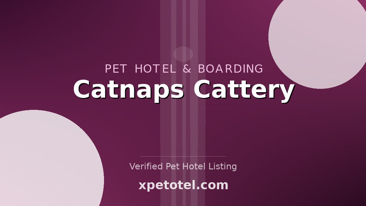 Catnaps Cattery pet hotel Alresford