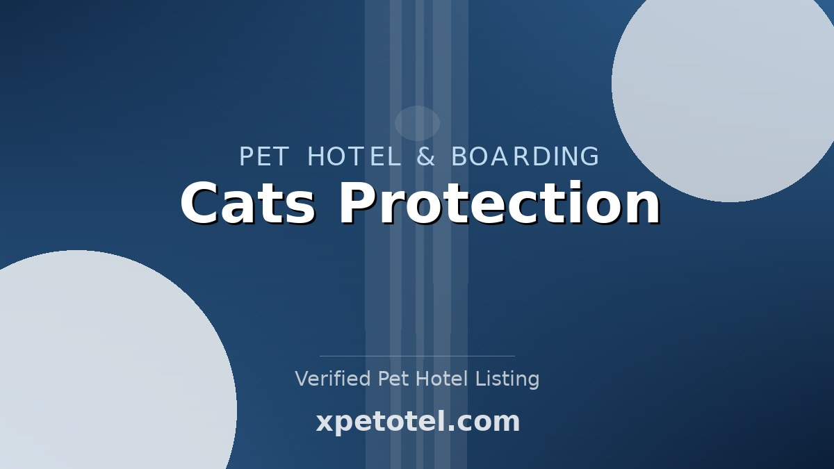 Cats Protection pet hotel Ponthir