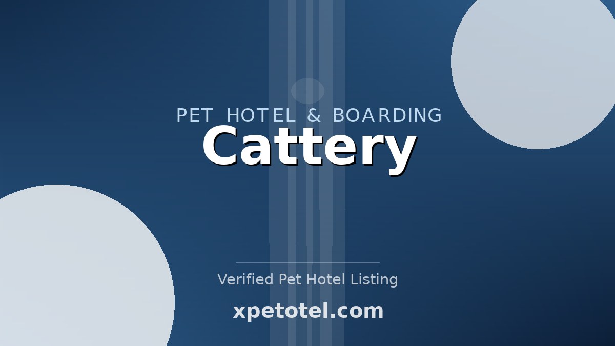 Cattery pet hotel Chesterfield