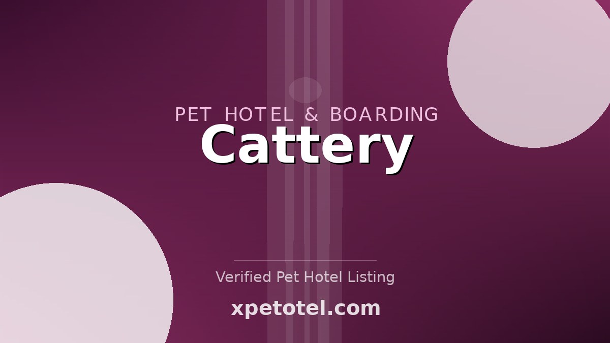 Cattery pet hotel Chesterfield