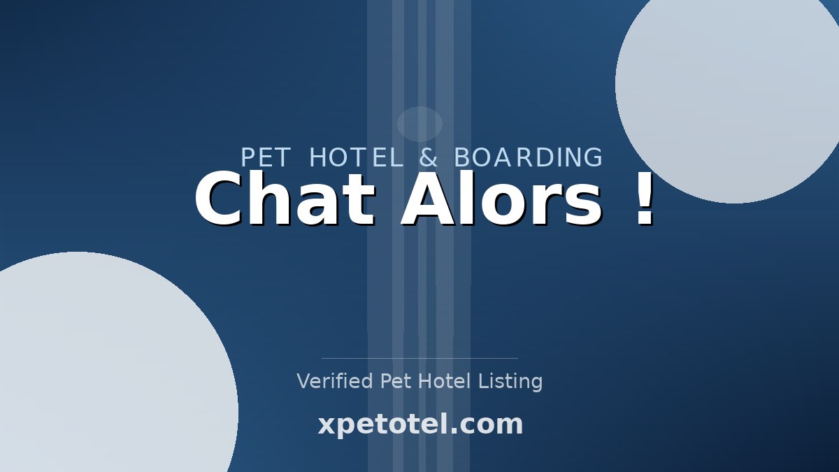 Chat Alors ! pet hotel Parennes