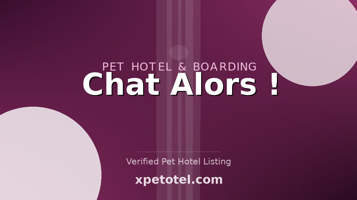 Chat Alors ! pet hotel Parennes