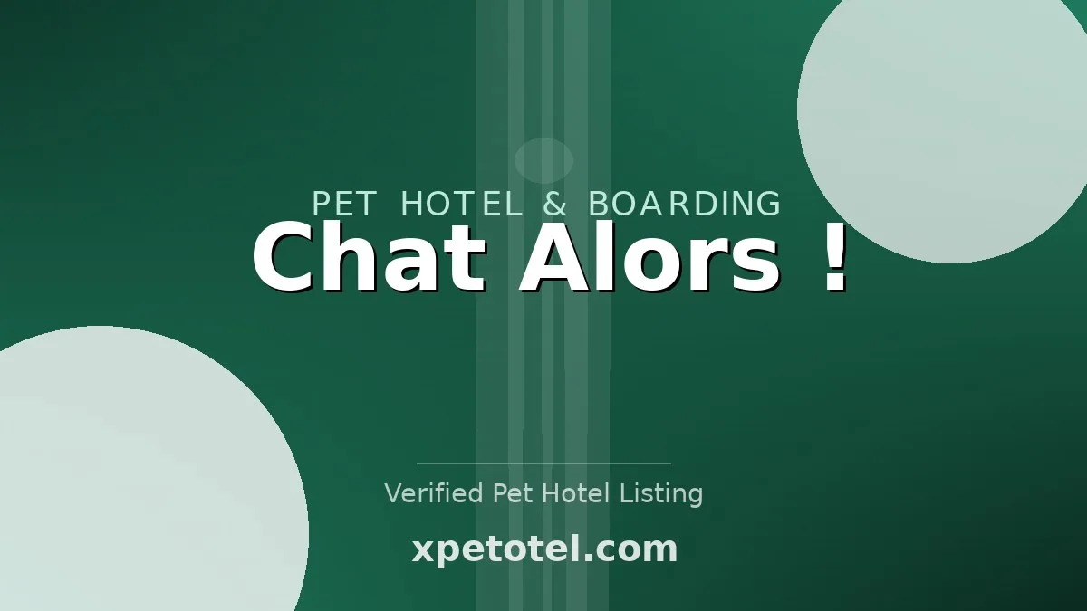 Chat Alors !