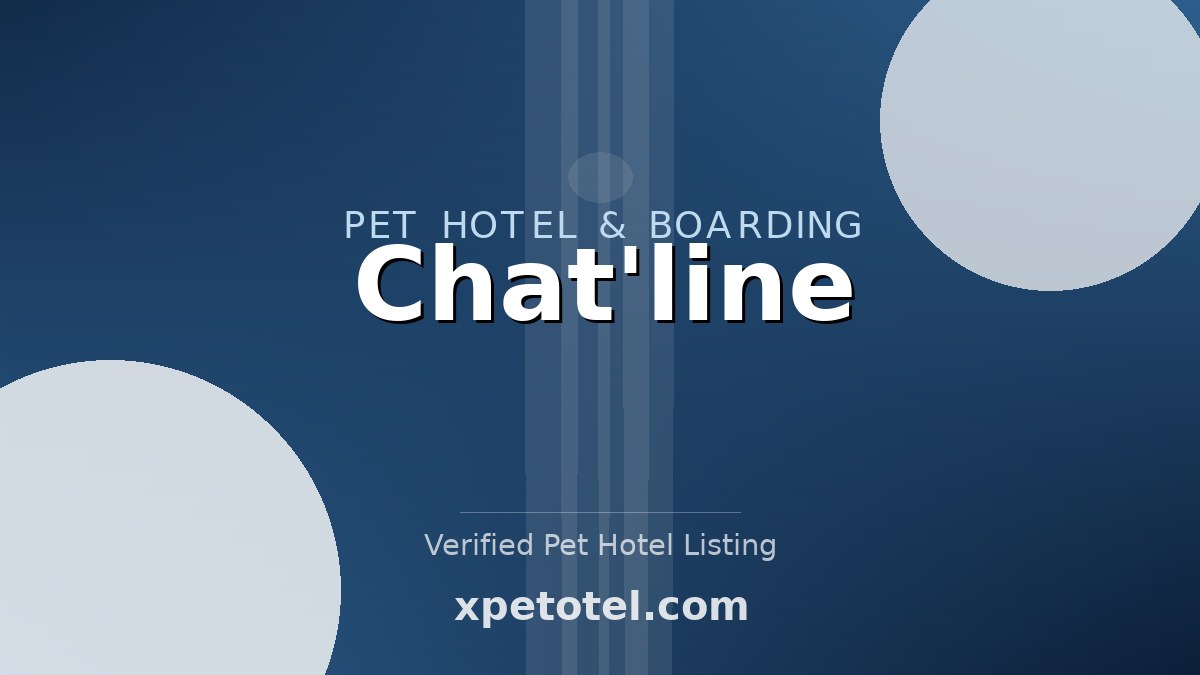 Chat'line pet hotel Bretteville-sur-Odon