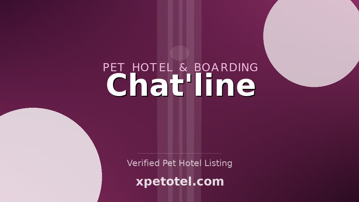 Chat'line pet hotel Bretteville-sur-Odon