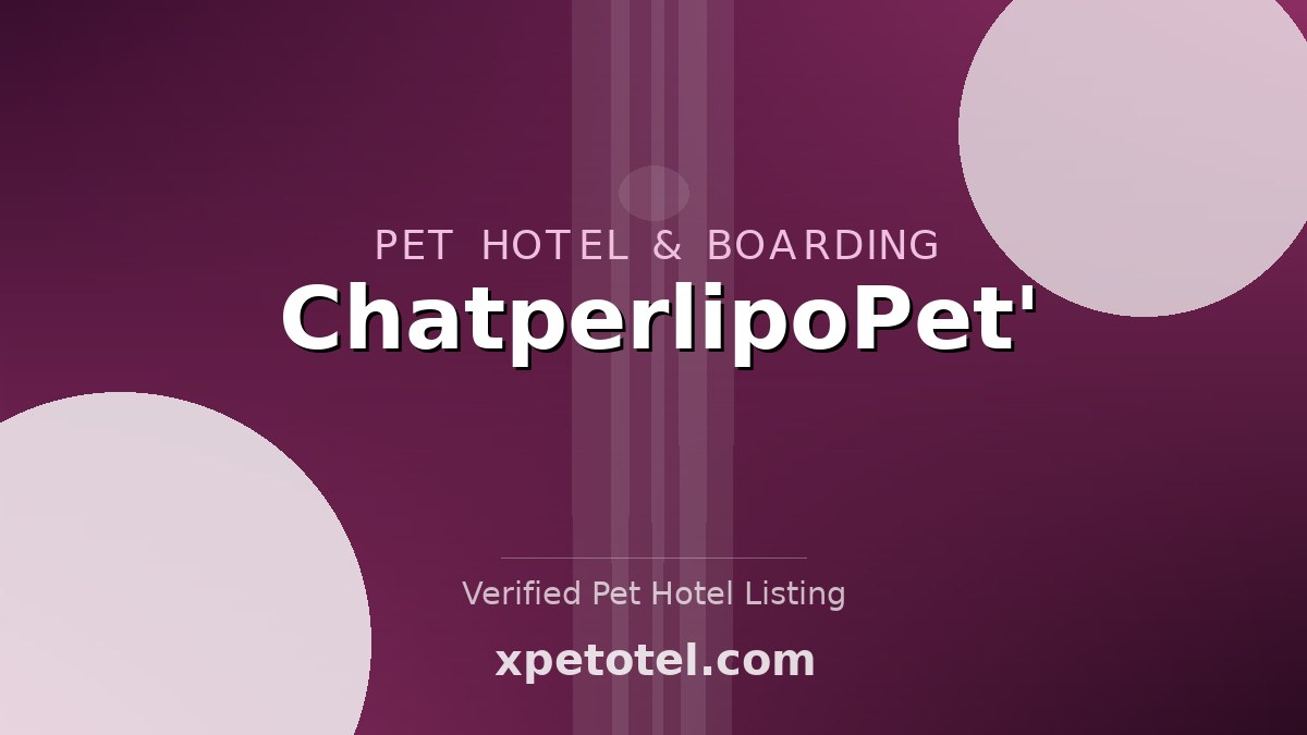 ChatperlipoPet' pet hotel Lyon