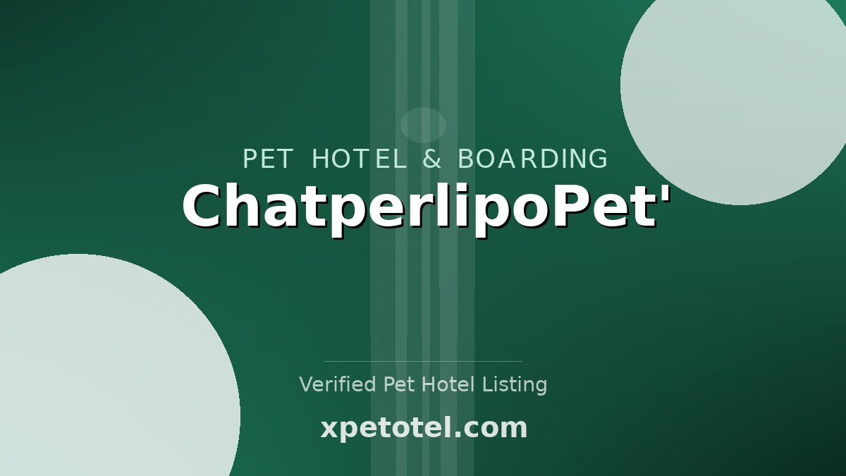 ChatperlipoPet'