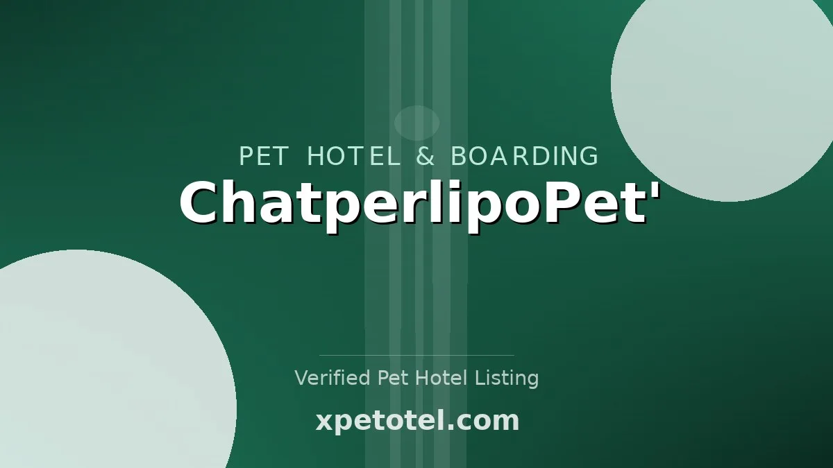 ChatperlipoPet'