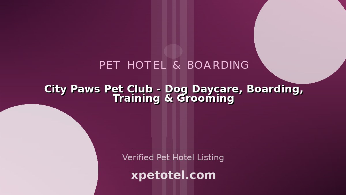 City Paws Pet Club - Dog Daycare, Boarding, Training & Grooming pet hotel Minneapolis