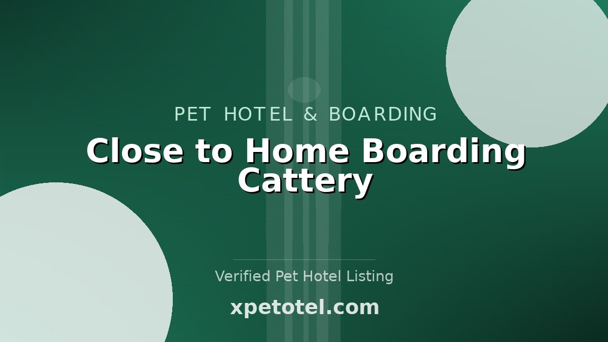 Close to Home Boarding Cattery