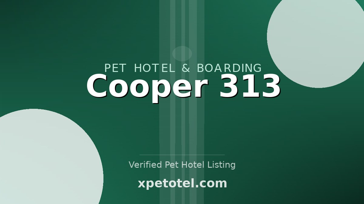 Cooper 313