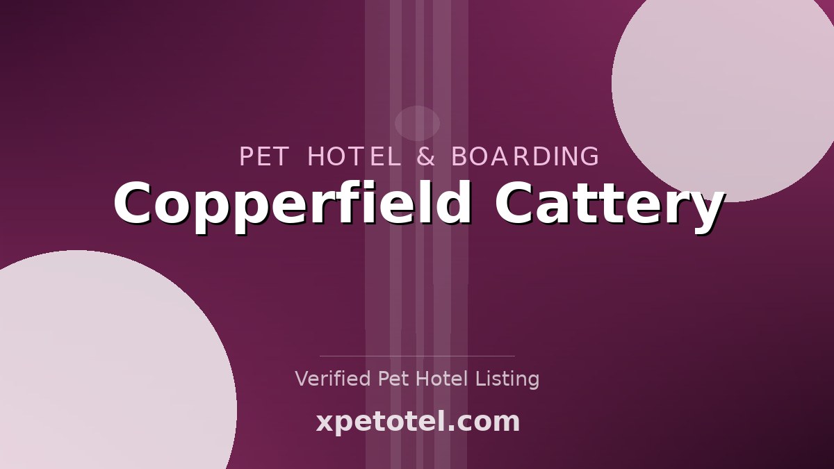 Copperfield Cattery pet hotel Braelangwell,Balblair