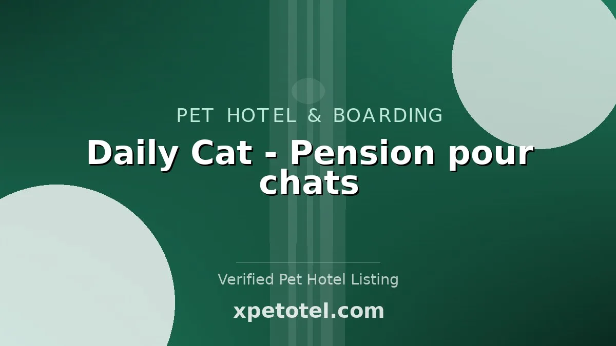 Daily Cat - Pension pour chats