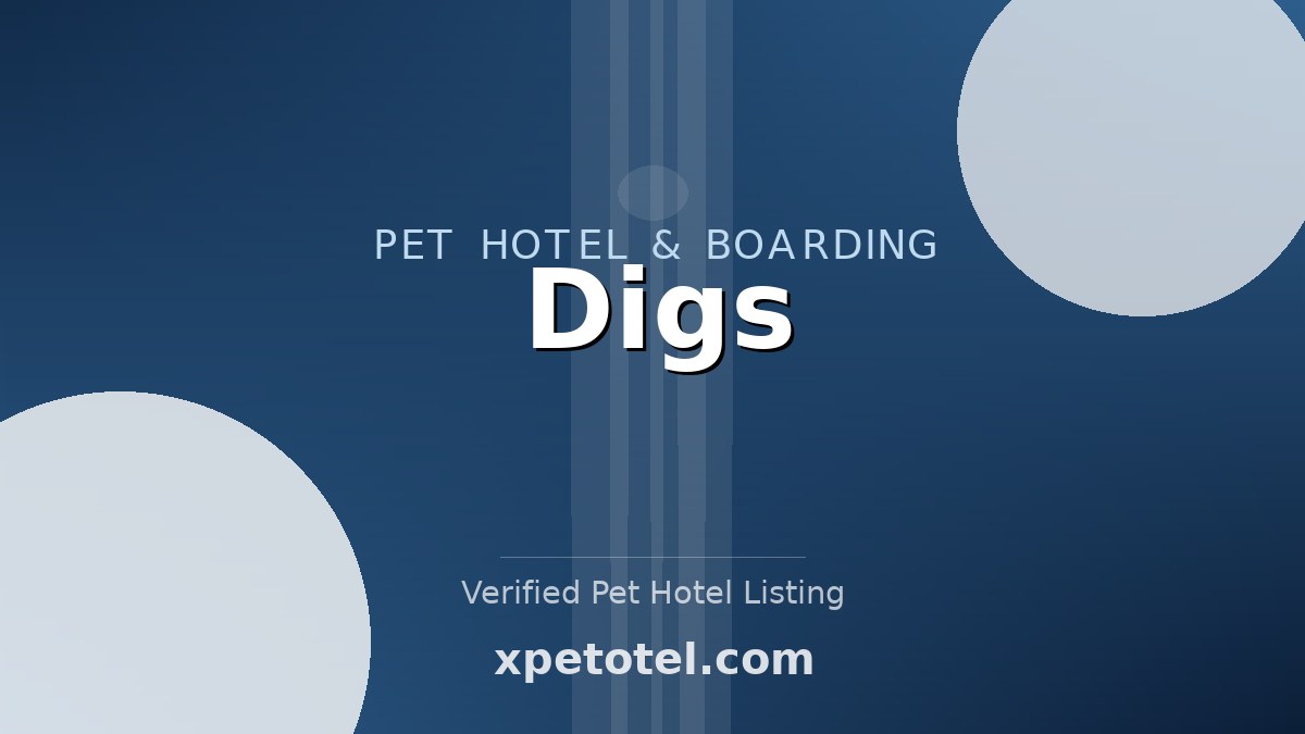 Digs pet hotel New York