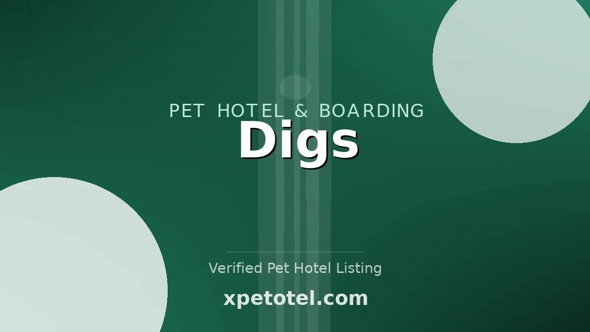 Digs