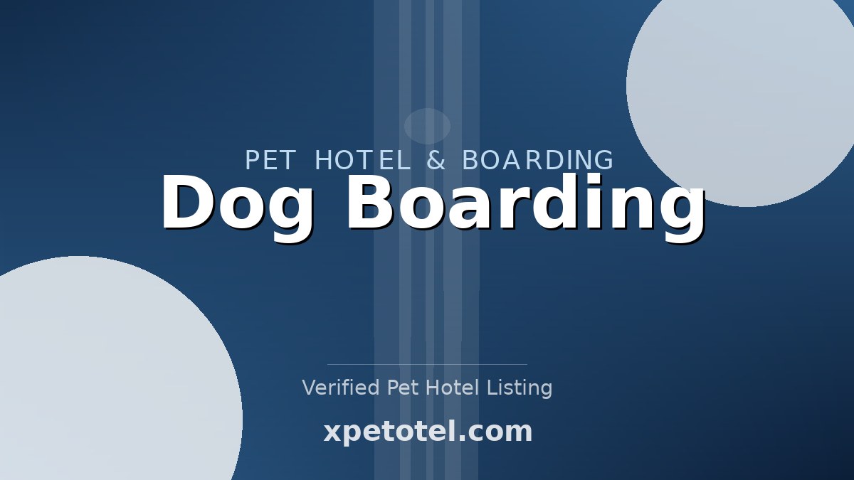 Dog Boarding pet hotel United States