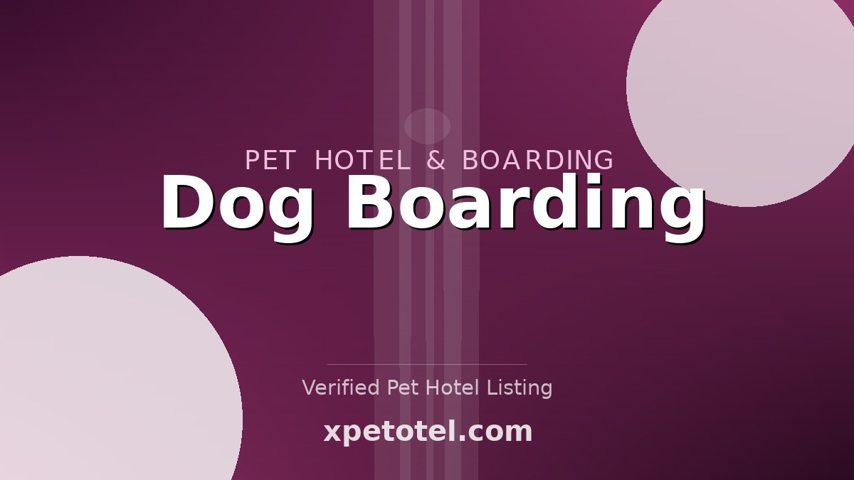 Dog Boarding pet hotel United States