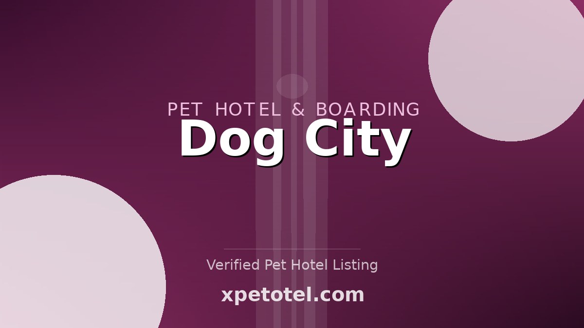 Dog City pet hotel Seattle