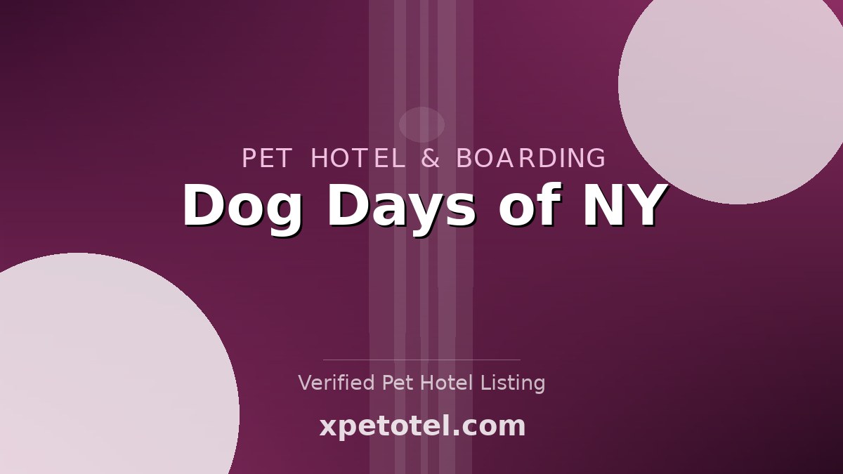 Dog Days of NY pet hotel New York