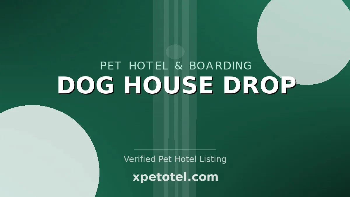 DOG HOUSE DROP